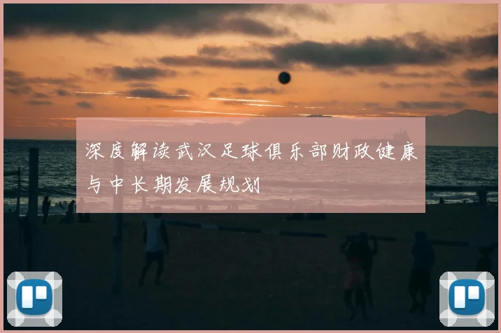 深度解读武汉足球俱乐部财政健康与中长期发展规划