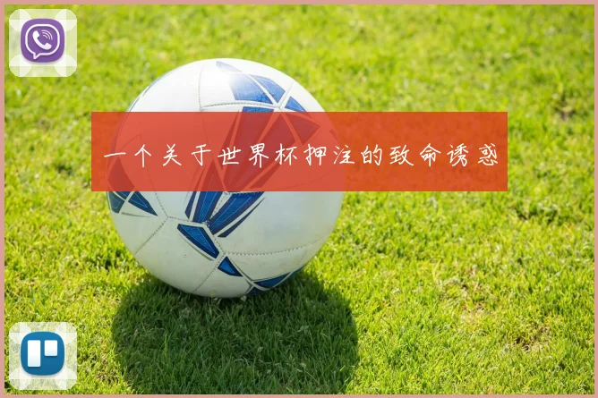 一个关于世界杯押注的致命诱惑