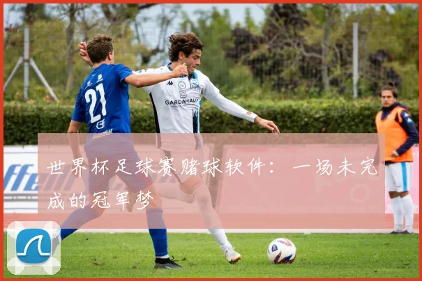 世界杯足球赛赌球软件:一场未完成的冠军梦