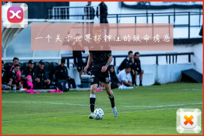 一个关于世界杯押注的致命诱惑