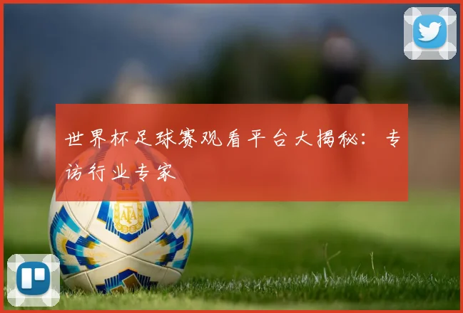 世界杯足球赛观看平台大揭秘：专访行业专家