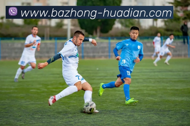 开云综合app官网登录平台生态图