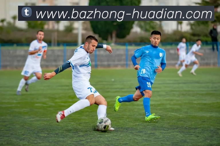 奖项证书